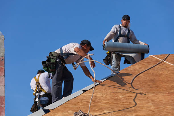 Best Storm Damage Roof Repair  in Sinking Spring, PA